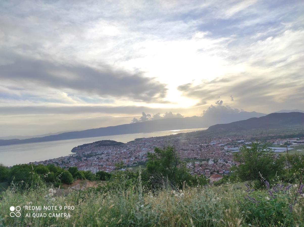Aleks Villa Ohrid Exterior photo